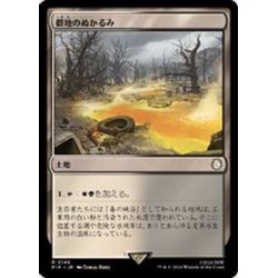 画像1: [EX+](サージFOIL)僻地のぬかるみ/Desolate Mire《日本語》【PIP】