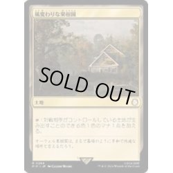 画像1: [EX+](FOIL)風変わりな果樹園/Exotic Orchard《日本語》【PIP】