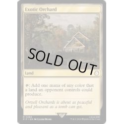 画像1: [EX+](FOIL)風変わりな果樹園/Exotic Orchard《英語》【PIP】