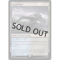 [EX+](FOIL)異臭の池/Fetid Pools《英語》【PIP】