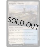 [EX+]灌漑農地/Irrigated Farmland《英語》【PIP】