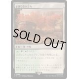 (サージFOIL)まばらな木立ち/Scattered Groves《日本語》【PIP】