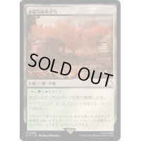 (サージFOIL)まばらな木立ち/Scattered Groves《日本語》【PIP】