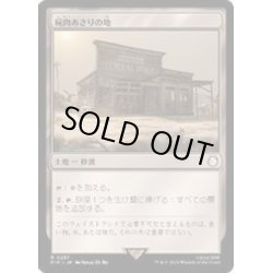 画像1: [EX+](FOIL)屍肉あさりの地/Scavenger Grounds《日本語》【PIP】