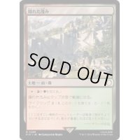 (サージFOIL)隠れた茂み/Sheltered Thicket《日本語》【PIP】