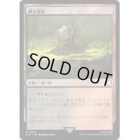 (サージFOIL)燻る湿地/Smoldering Marsh《日本語》【PIP】