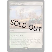 [EX+](FOIL)サングラスの大草原/Sungrass Prairie《英語》【PIP】