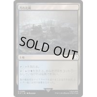 (サージFOIL)汚れた島/Tainted Isle《日本語》【PIP】