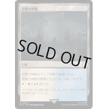 啓蒙の神殿/Temple of Enlightenment《日本語》【PIP】