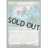 [EX+](サージFOIL)ブルードロード/Broodlord《英語》【40K】