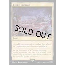 画像1: [EX+](サージFOIL)風変わりな果樹園/Exotic Orchard《英語》【40K】