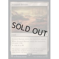 (サージFOIL)磨かれたやせ地/Scoured Barrens《英語》【40K】