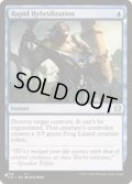 急速混成/Rapid Hybridization《英語》【Reprint Cards(The List)】