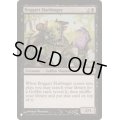 [EX+]ボガートの先触れ/Boggart Harbinger《英語》【Reprint Cards(The List)】