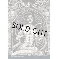 (FOIL)(1199)愚者滅ぼし、テヴェシュ・ザット/Tevesh Szat, Doom of Fools《英語》【SLD】