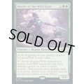 (FOIL)(1249)野生の狩りの達人/Master of the Wild Hunt《英語》【SLD】