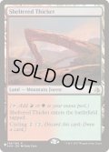 [EX+]隠れた茂み/Sheltered Thicket《英語》【Reprint Cards(Secret Lair Commander)】