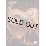 30th Anniversary Card Sleeve『シヴ山のドラゴン』80枚入り《-》【スリーブ】