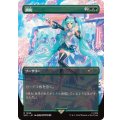 (1596)調和/Harmonize《日本語》【SLD】