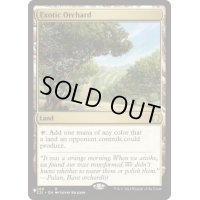 (C21)風変わりな果樹園/Exotic Orchard《英語》【Reprint Cards(Secret Lair Commander)】