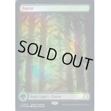 (FOIL)(2023年)(0010)森/Forest《英語》【Judge Promos】