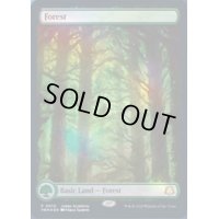 (FOIL)(2023年)(0010)森/Forest《英語》【Judge Promos】