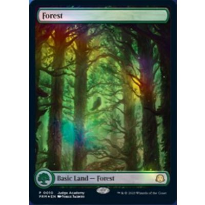 [EX](FOIL)(2023年)(0010)森/Forest《英語》【Judge Promos】