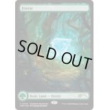 [EX+](FOIL)(2024年)(Showdown)森/Forest《英語》【PRM】