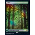 [EX+](FOIL)(2023年)(0010)森/Forest《英語》【Judge Promos】