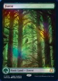 [EX+](FOIL)(2023年)(0010)森/Forest《英語》【Judge Promos】