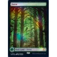 [EX+](FOIL)(2023年)(0010)森/Forest《英語》【Judge Promos】