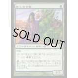 [EX+]ほくちの壁/Tinder Wall《日本語》【Coldsnap Theme Deck Reprints】