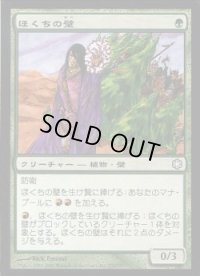 [EX+]ほくちの壁/Tinder Wall《日本語》【Coldsnap Theme Deck Reprints】