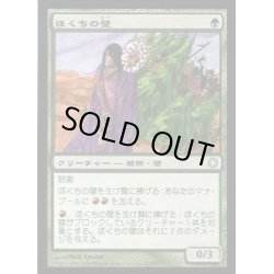 画像1: ほくちの壁/Tinder Wall《日本語》【Coldsnap Theme Deck Reprints】