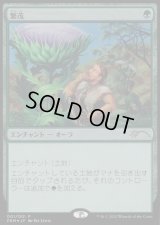 [EX+](FOIL)繁茂/Wild Growth《日本語》【Media Promos】