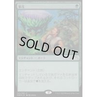 [EX+](FOIL)繁茂/Wild Growth《日本語》【Media Promos】