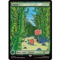 (1943)森/Forest《英語》【SLD】
