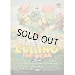 画像1: [EX+](1818)弱者選別/Culling the Weak《英語》【SLD】