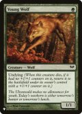 [EX+]若き狼/Young Wolf《英語》【Reprint Cards(The List)】