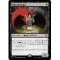 暗黒の儀式の達人/Master of Dark Rites《日本語》【LCC】