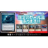 【当店初利用の方限定特価品】知りたがりの学徒、タミヨウ、忌まわしき眼魔、(旧枠仕様)虚空の杯、次元の結節点、輝晶の機械巨人、灯を追う者、チャンドラ