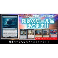 【当店初利用の方限定特価品】知りたがりの学徒、タミヨウ、忌まわしき眼魔、(旧枠仕様)虚空の杯、次元の結節点、輝晶の機械巨人、灯を追う者、チャンドラ