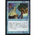 [EX]テフェリーの反応/Teferi's Response《日本語》【INV】