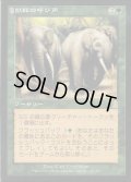 [EX+]獣群の呼び声/Call of the Herd《日本語》【ODY】