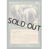 [EX+]獣群の呼び声/Call of the Herd《日本語》【ODY】