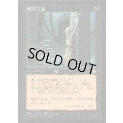 画像1: [EX+]拷問生活/Tortured Existence《日本語》【STH】