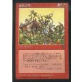 [EX]連続突撃/Relentless Assault《日本語》【VIS】