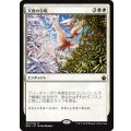 [EX+]天使の合唱/Angelic Chorus《日本語》【BBD】