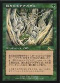 [PLD]隠れたるテナガザル/Hidden Gibbons《日本語》【UDS】