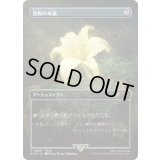 [EX+](FOIL)(0909)金粉の水蓮/Gilded Lotus《日本語》【SLD】